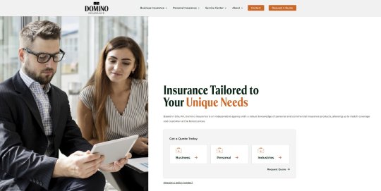 Domino Insurance