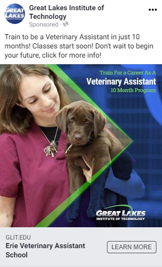 Great Lakes Institute of Technology Social Ad